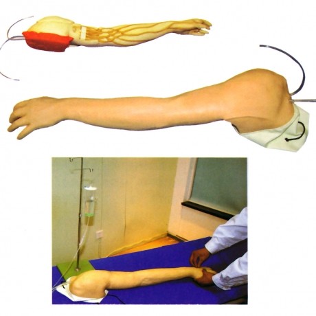 全功能完整静脉穿刺及注射训练手臂模型